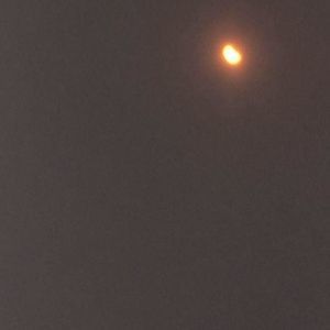 Meet your Posher, Josh